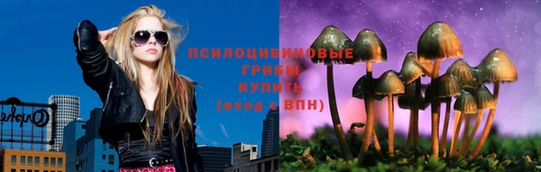 сатива Балабаново