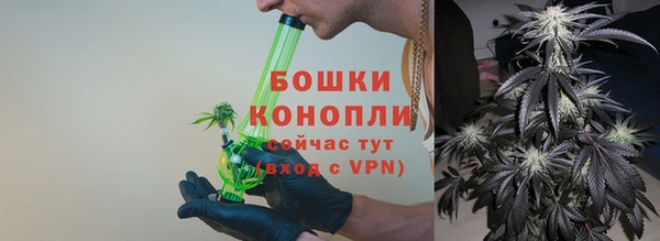 сатива Балабаново