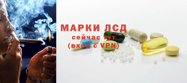 сатива Балабаново