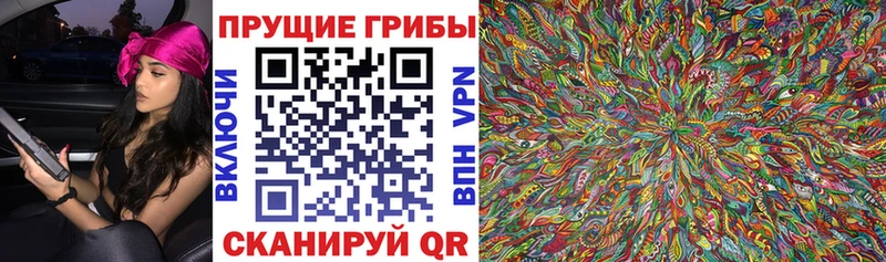 блэк спрут tor  Козельск  Галлюциногенные грибы прущие грибы  где купить наркотик 